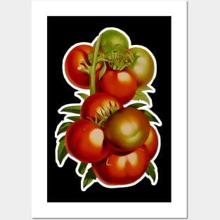 Tomato Posters and Art